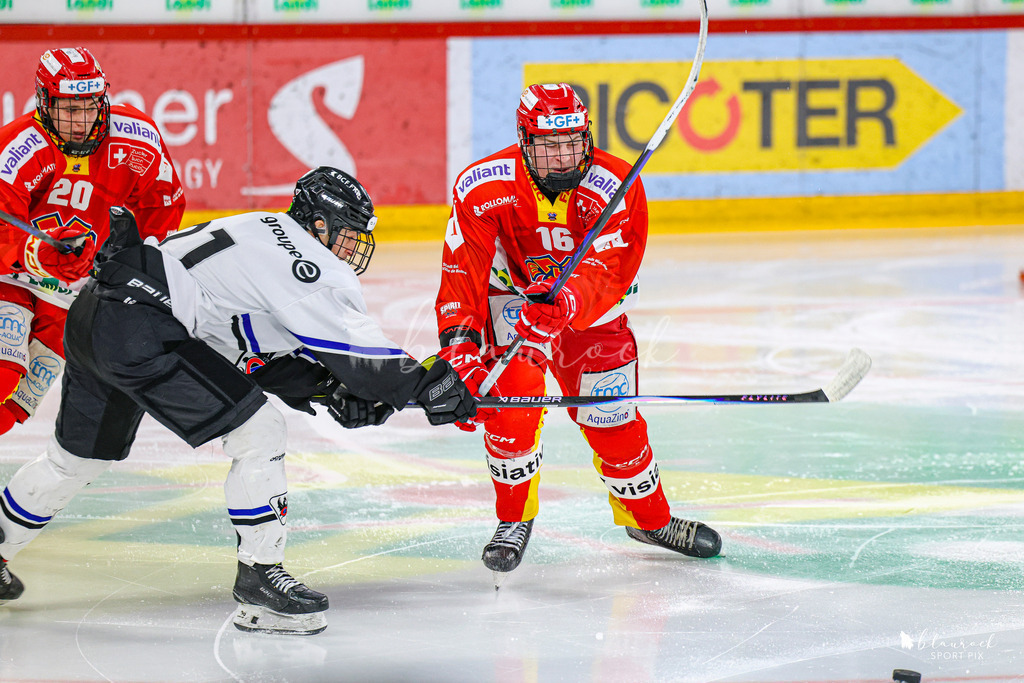 EHCB Spirit vs HCFG_wb-7129 | Sportbilder, Sportfotograf, Hochzeits- und Eventfotografin, Flugshows, Portraits und Tiershooting, Aviation, Downhill, Nationalleague, Swissleague, International