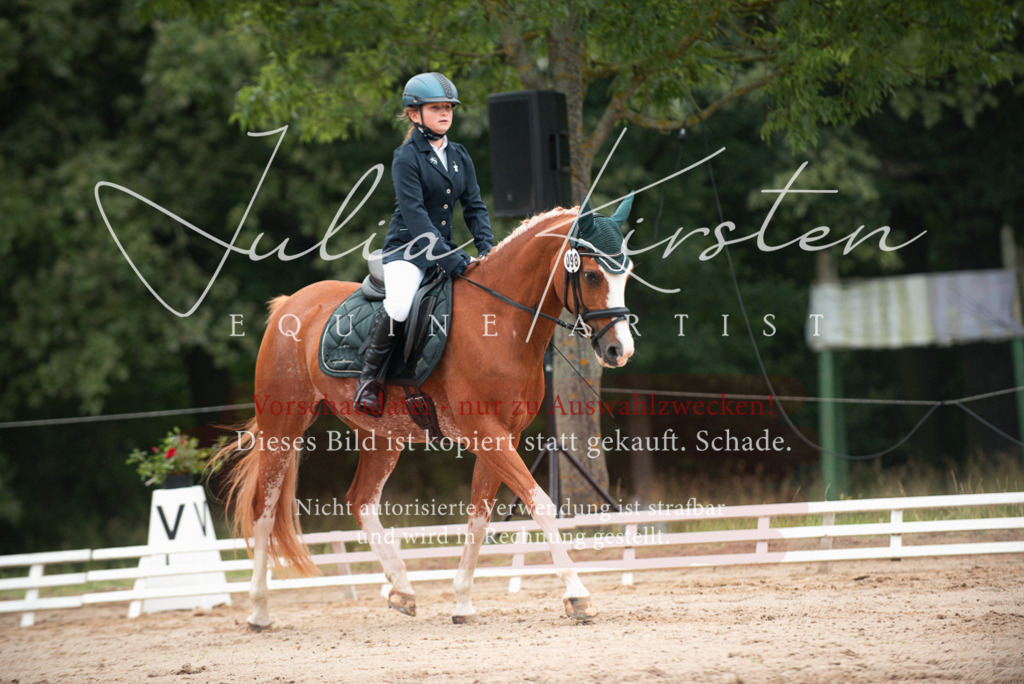 DSC_9627 | Pferde- und Turnierfotografie in Westsachsen. Pferdeportraits, Auftragszeichnungen und intuitive Kunst.