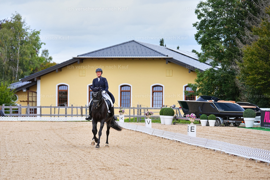 8_1-034-Klasse S_  -Marixx-4026 | working equitationturnier fotograf videograf stoibphotography marixx film working equitation deutschland reitsport turnierfotografie eventfotografie equestrian events
