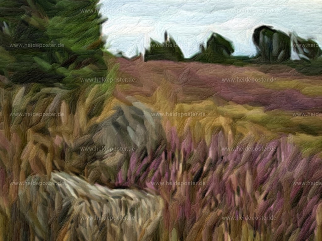 brushed_14wach030 | Poster aus der Lüneburger Heide - Realisiert mit Pictrs.com