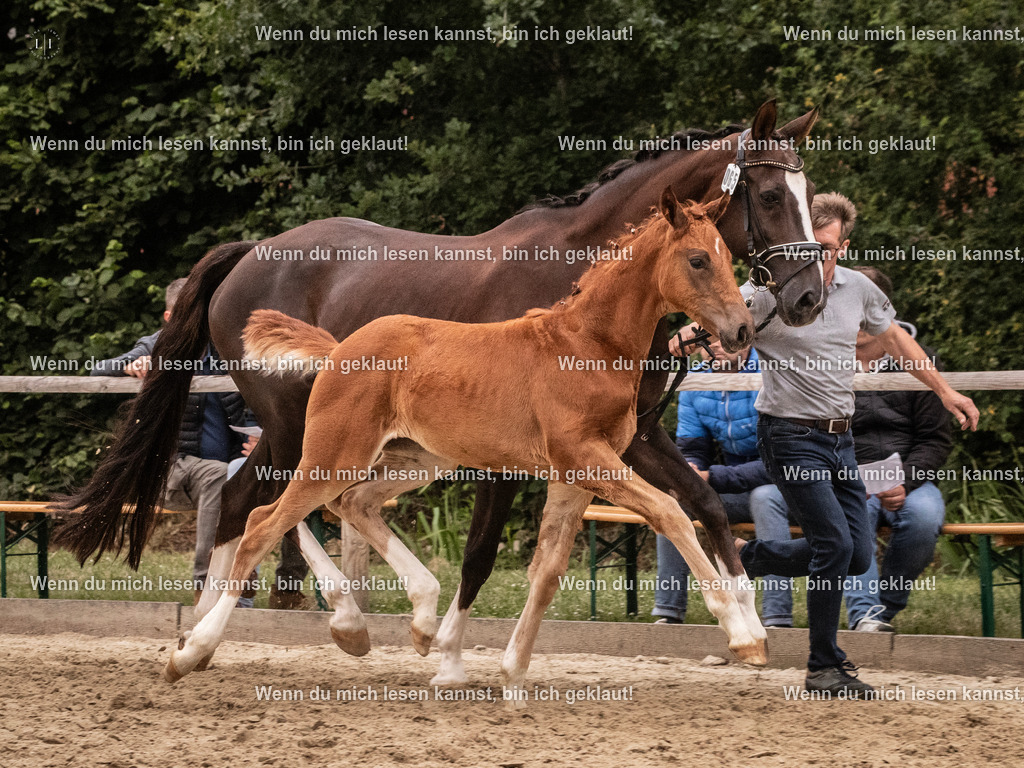 A10I6666 | photographylinaismer - Realisiert mit Pictrs.com