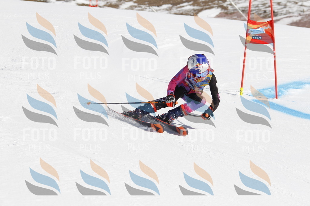 _U3G9211 | holidayphoto