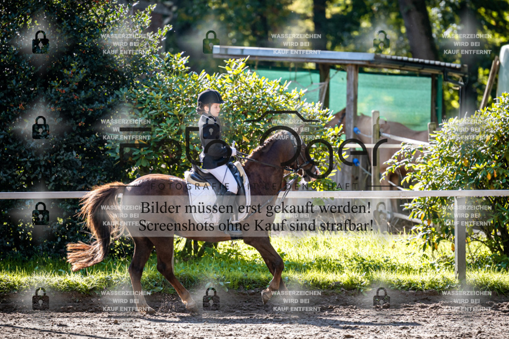 2026-10-Helle-20-4-0017 | Entdecke hochwertige Reitturnierfotos von Foto Oger. Professionell, emotional und authentisch – jetzt Lieblingsmomente im Shop bestellen.Deutschlandweite Turnierfotografie. - Realisiert mit Pictrs.com