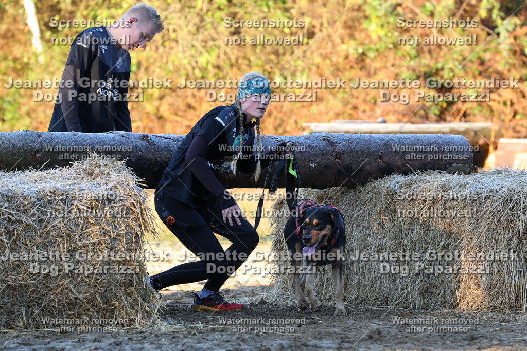 Dog Paparazzi - Strongdog 10-25-579 | Dog Paparazzi Jeanette Grottendiek Fotografie & Videografie - Realisiert mit Pictrs.com