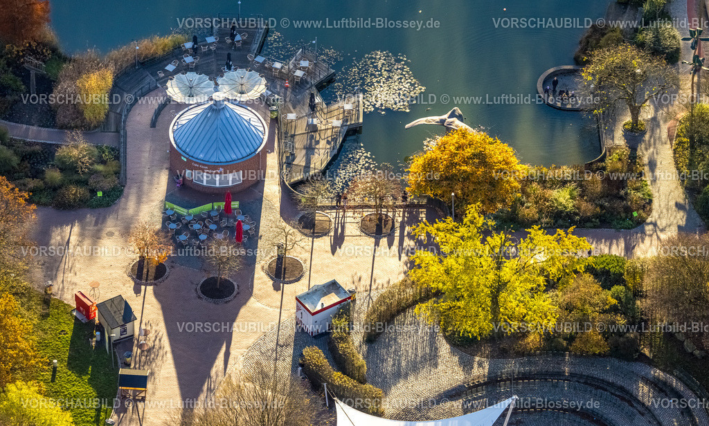 Hamm231101773 | Luftbild, Seekiosk und See im Maximilianpark, umgeben von herbstlichen Laubbäumen, Uentrop, Hamm, Ruhrgebiet, Nordrhein-Westfalen, Deutschland