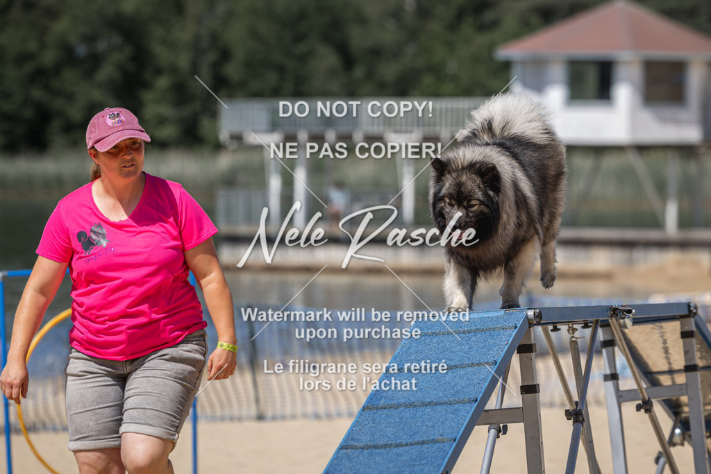 nelerasche_saBeachility_784 | nelerasche