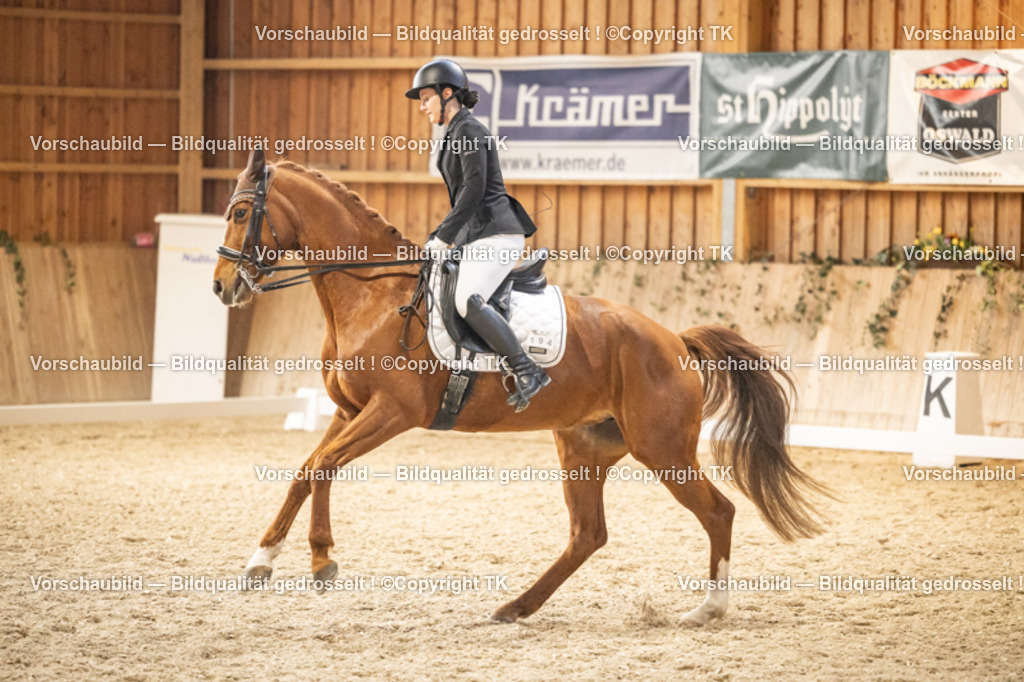 _D5A9723 | Emotionale Pferde- & People-Fotografie rund um Heidelberg, Leimen & Umgebung. Natürliche Fotos von Pferd, Mensch & Familie. Jetzt Termin sichern!