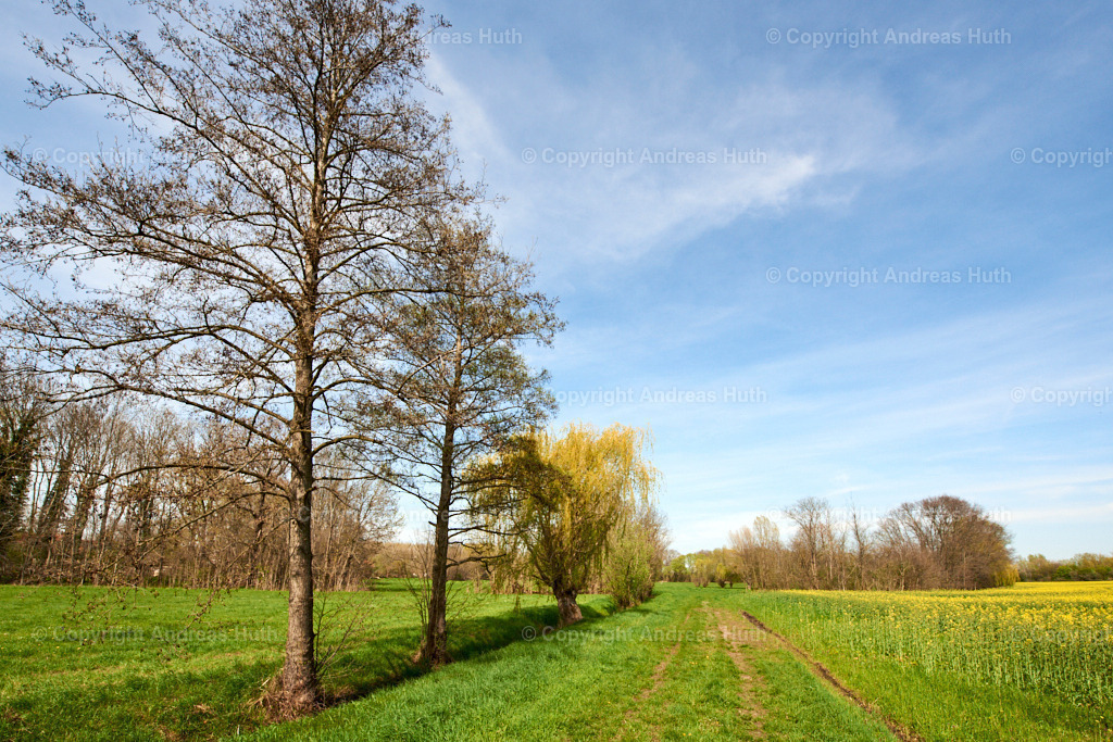Am Elsterfloßgraben zwischen Nempitz_ Thalschütz und Rampitz 03 | Bedeutsame Landschaften Deutschlands - Realisiert mit Pictrs.com