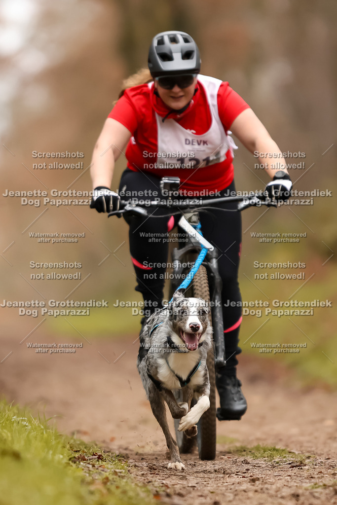 Dog Paparazzi - Speedhunter Mannheim  2025-336 | Dog Paparazzi Jeanette Grottendiek Fotografie & Videografie