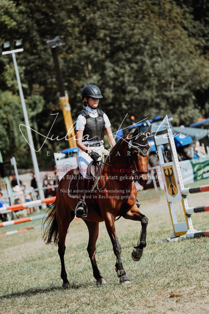 DSC_9410 | Pferde- und Turnierfotografie in Westsachsen. Pferdeportraits, Auftragszeichnungen und intuitive Kunst.