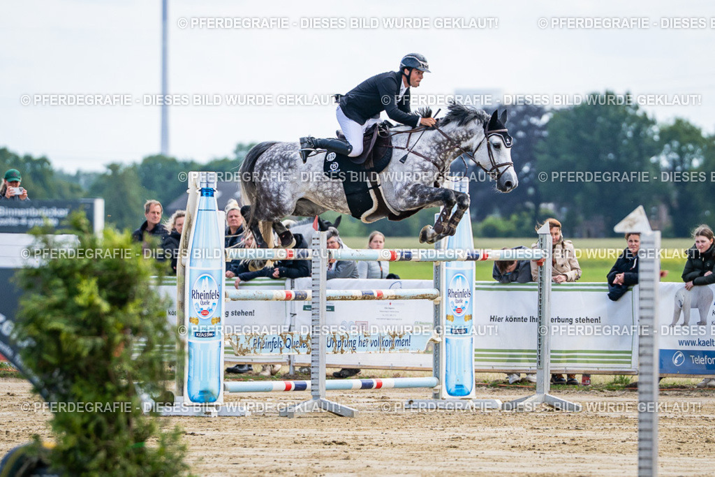 DSC06716 | Pferdegrafie