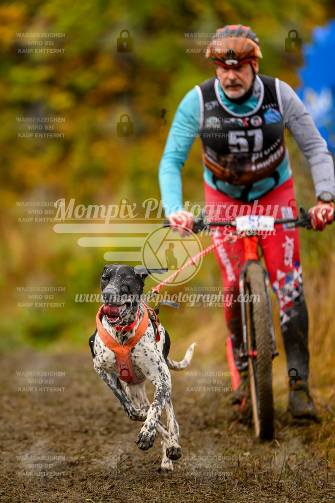 MompixPhotography_ICF_WC_2024_SA_DS_-139 | PayLife