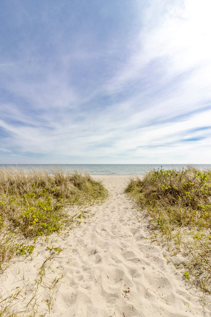 Wandbild: Weg an den Sandstrand in Weidefeld | Dieses bezaubernde Wandbild im Hochformat fängt die Essenz des Frühlings in Weidefeld ein. Der Sandweg schlängelt sich durch das frische Grün am Wegesrand und führt zum ruhigen Strand. Der klare blaue Himmel und die sanften Schleierwolken schaffen eine idyllische Szenerie, die zum Träumen einlädt. - Realisiert mit Pictrs.com