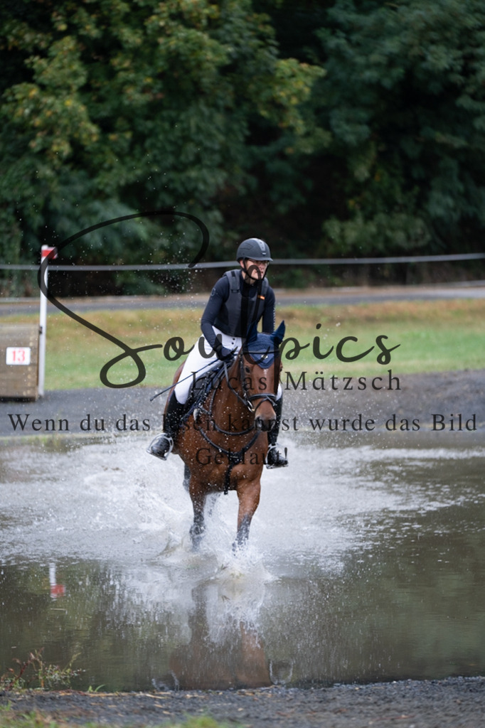 A7V00234 | Pferdefotograf