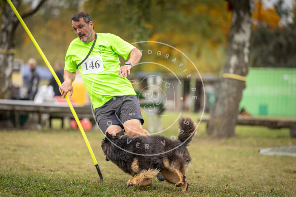 Pfotenfotografie_DV3A6108 | Hundefotografie, Tierfotograf, Pfotenfotografie, Fotoshooting Hund, Hunde Portrait, Hundesport, Hundeportraits, Heideshooting, Hunde, Sportfotograf, Hundefotograf, Turnierhundsport, THS,  - Realisiert mit Pictrs.com