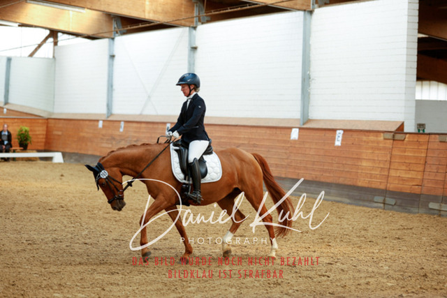 _62_4573 | Turniersportfotografie; Pferdefotografie; Dressurfotografie