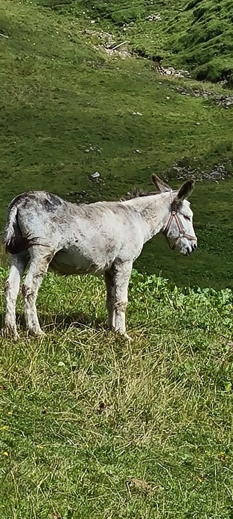 20200805_155243 | Heilkarten - Realisiert mit Pictrs.com