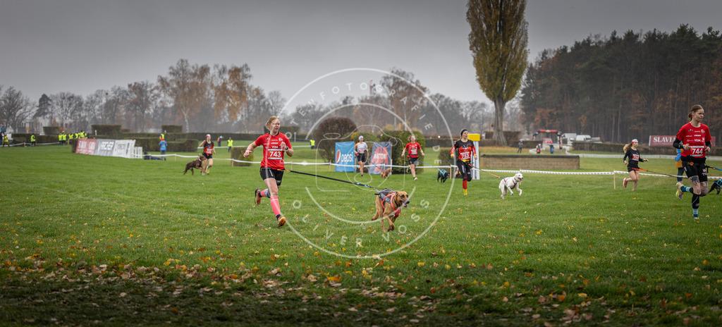 CaniXpix_DV3A8867 | Hundefotografie, Tierfotograf, Pfotenfotografie, Fotoshooting Hund, Hunde Portrait, Hundesport, Hundeportraits, Heideshooting, Hunde, Sportfotograf, Hundefotograf, Turnierhundsport, THS,  - Realisiert mit Pictrs.com