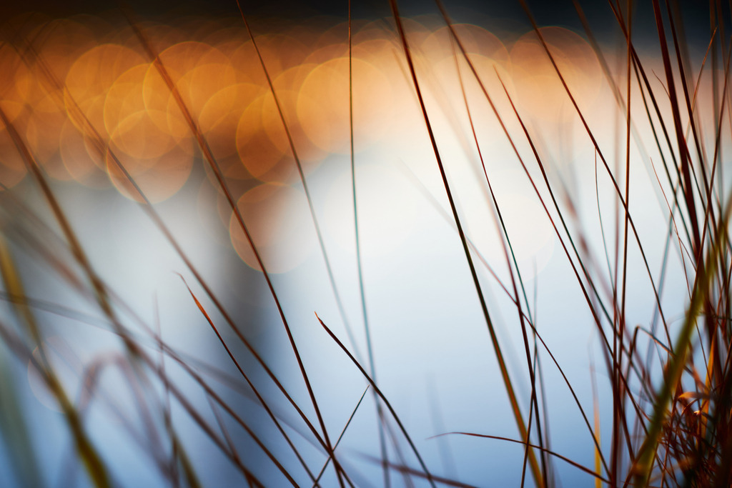 Wasserpark Uferlandschaft im Abendlicht  | Wien, Austria - January 11, 2021: Wasserpark in Floridsdorf, Uferlandschaft im Abendlicht  - Realisiert mit Pictrs.com