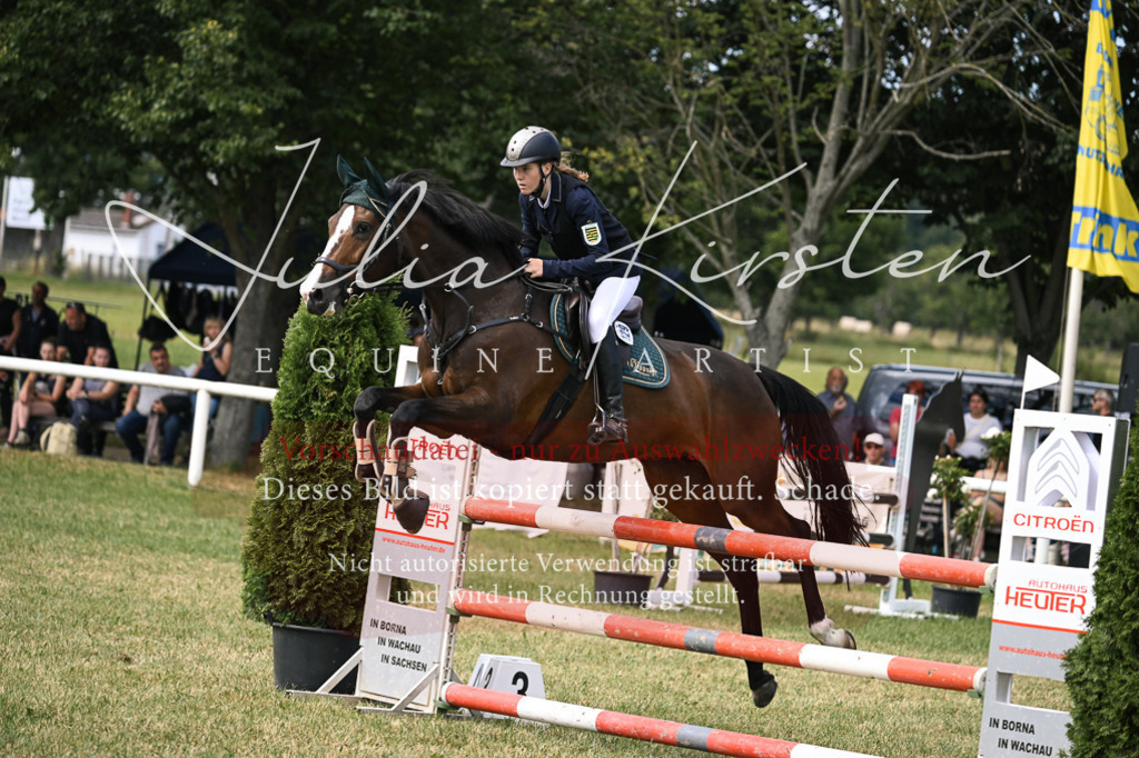DSC_0604 | Pferde- und Turnierfotografie in Westsachsen. Pferdeportraits, Auftragszeichnungen und intuitive Kunst.