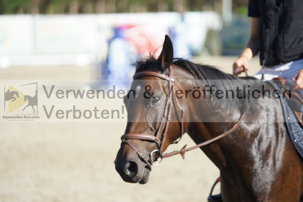 DSC01274 | equestrian-live-com