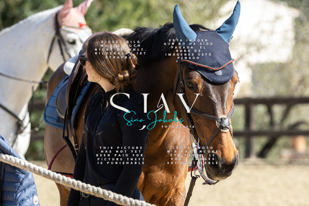 IMG_6594 | s-jay-photography - Realisiert mit Pictrs.com