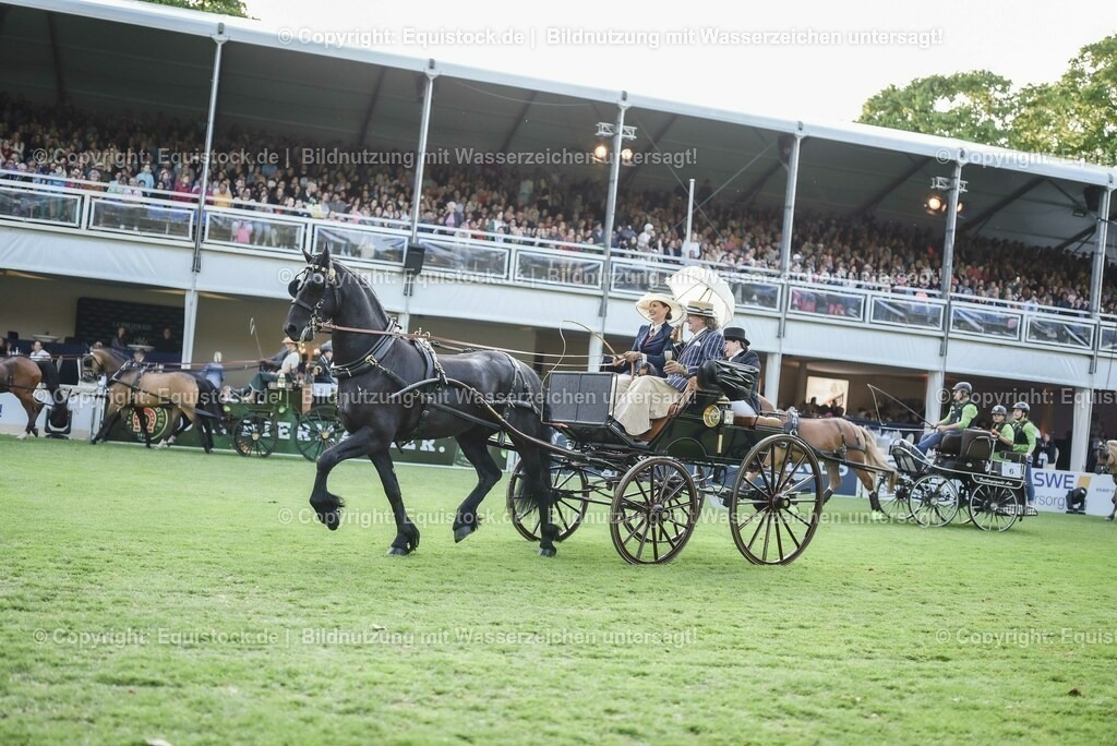 20230526_Pferdenacht_0202 | equistock