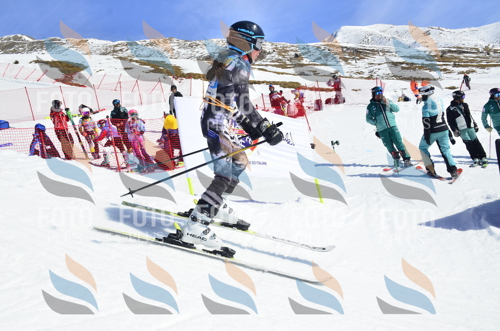 _ELE0797 | holidayphoto