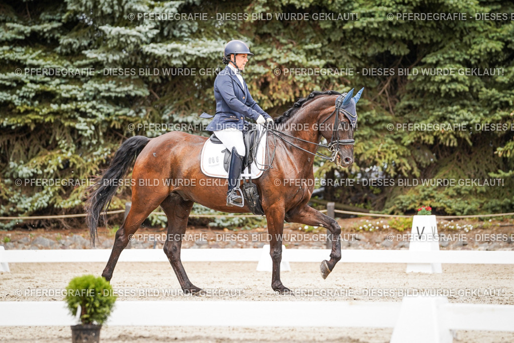 DSC05385 | Pferdegrafie