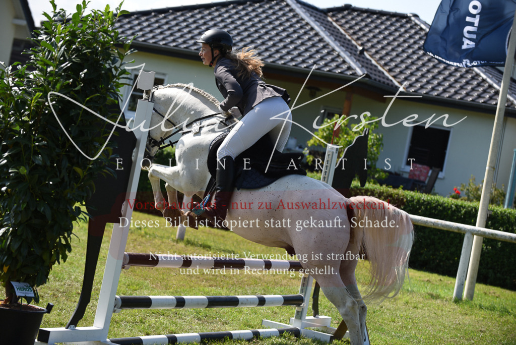 DSC_9156 | Pferde- und Turnierfotografie in Westsachsen. Pferdeportraits, Auftragszeichnungen und intuitive Kunst.