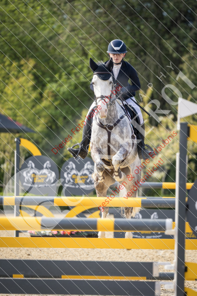 CON_0152 | Sport-, Event- und Tierfotos in Profiqualität. Einfach auswählen, bestellen und herunterladen. Dein Moment – perfekt festgehalten.