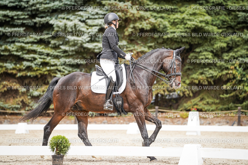 DSC05721 | Pferdegrafie