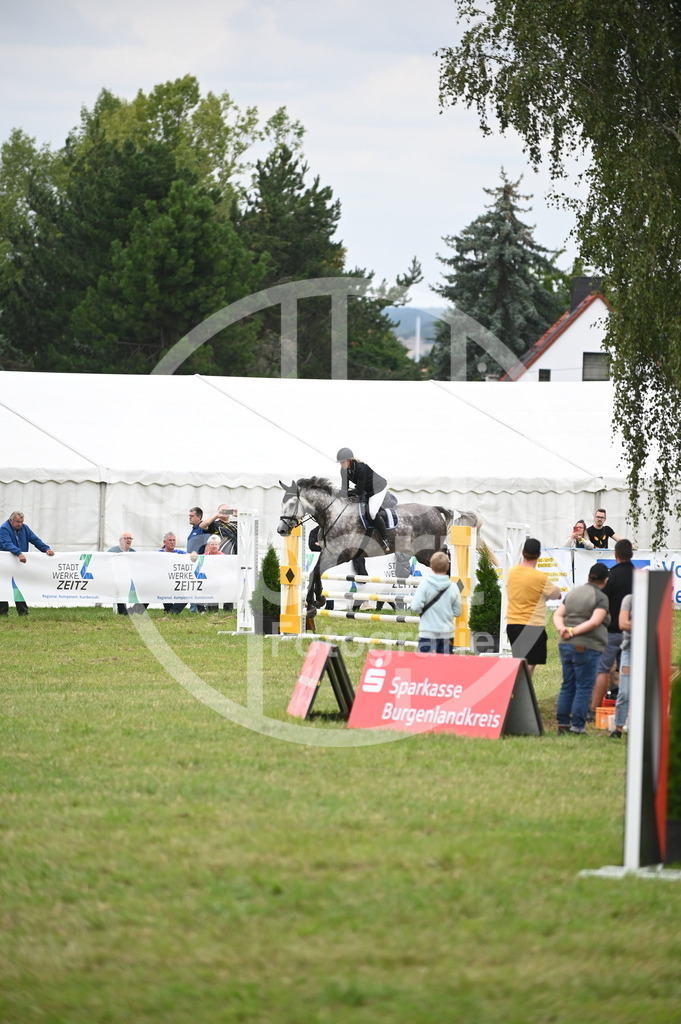 DSC_1246 | sattelsport - Realisiert mit Pictrs.com