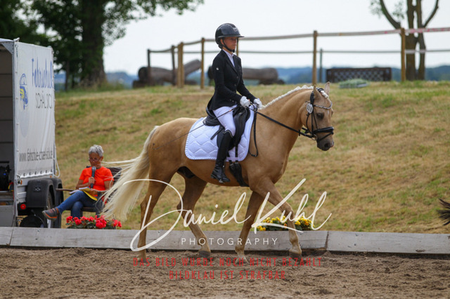 DKP45991 | Turniersportfotografie; Pferdefotografie; Dressurfotografie