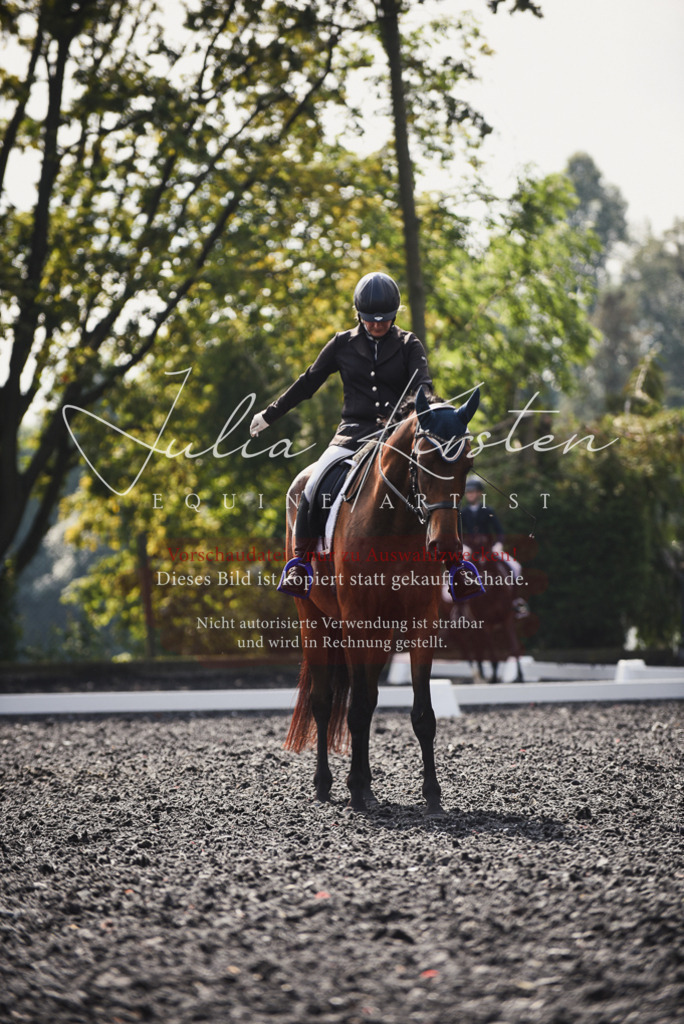 DSC_3653 | Pferde- und Turnierfotografie in Westsachsen. Pferdeportraits, Auftragszeichnungen und intuitive Kunst.