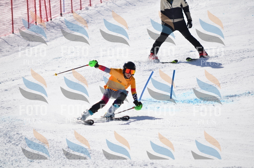 C9764 | holidayphoto