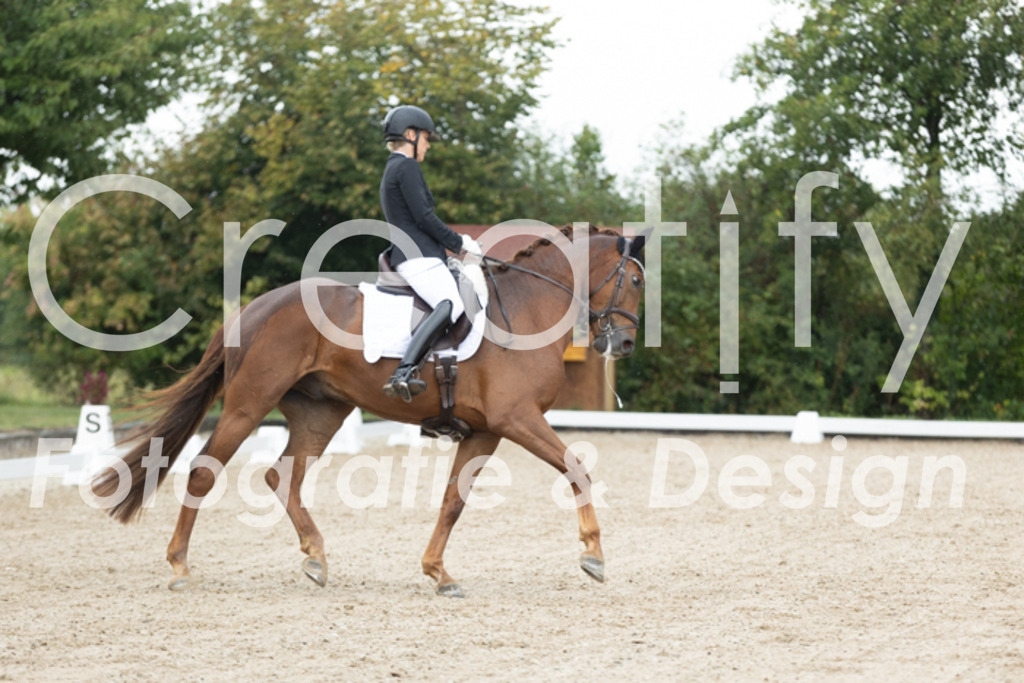 IMG_4512 | Creatify Fotografie