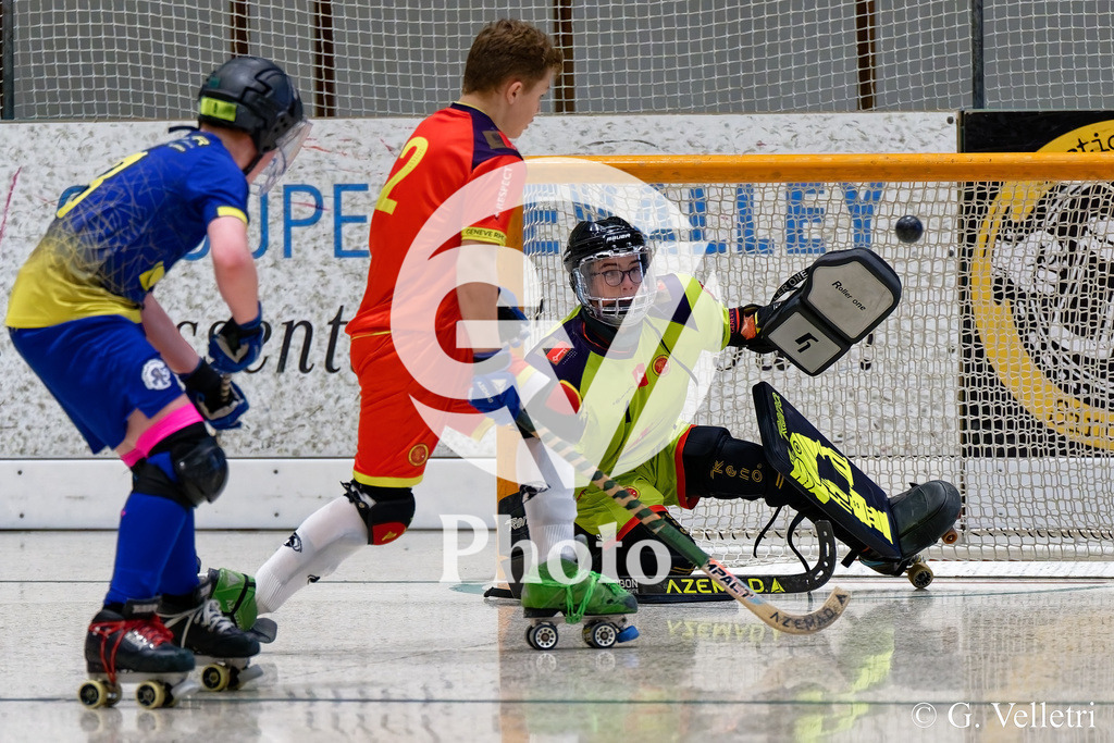 DZ8_3825 | Velletri Photo