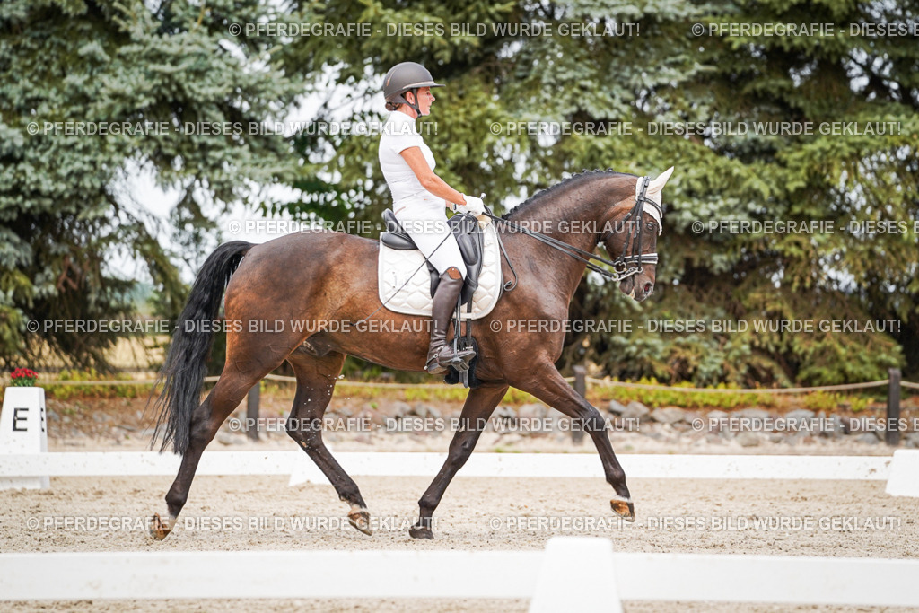 DSC06339 | Pferdegrafie