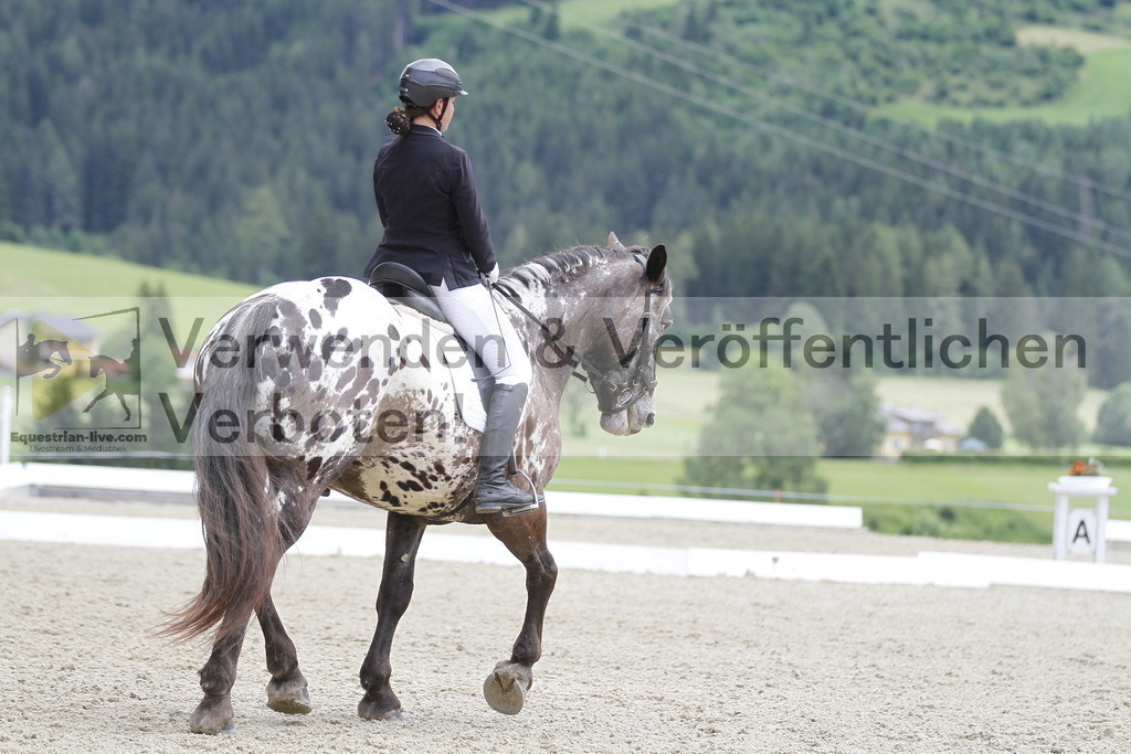 _MG_3871 | equestrian-live-com