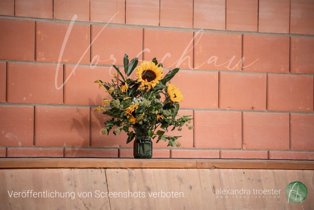 250913_Barop_11_215 | farbklaex.com