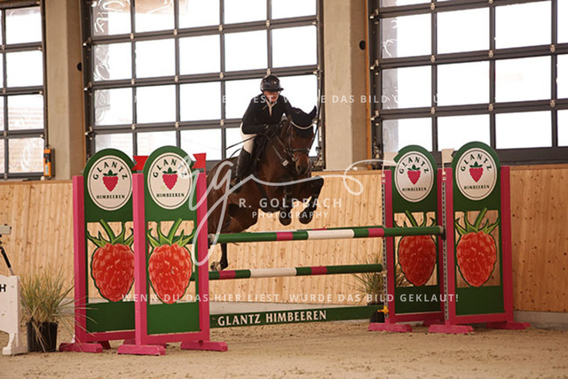 1J2A2466Elli Gruhlke_ Levito 21_ Kn340_ Hohen Wieschendorf_ Glantz | Foto- und Videografie für alles rund ums Pferd. Hochwertige Bilder und Videos vom Spring- und Dressurreiten, Voltigieren & mehr. Jetzt aktuelle Veranstaltungen und Preise im Shop ansehen. - Realisiert mit Pictrs.com