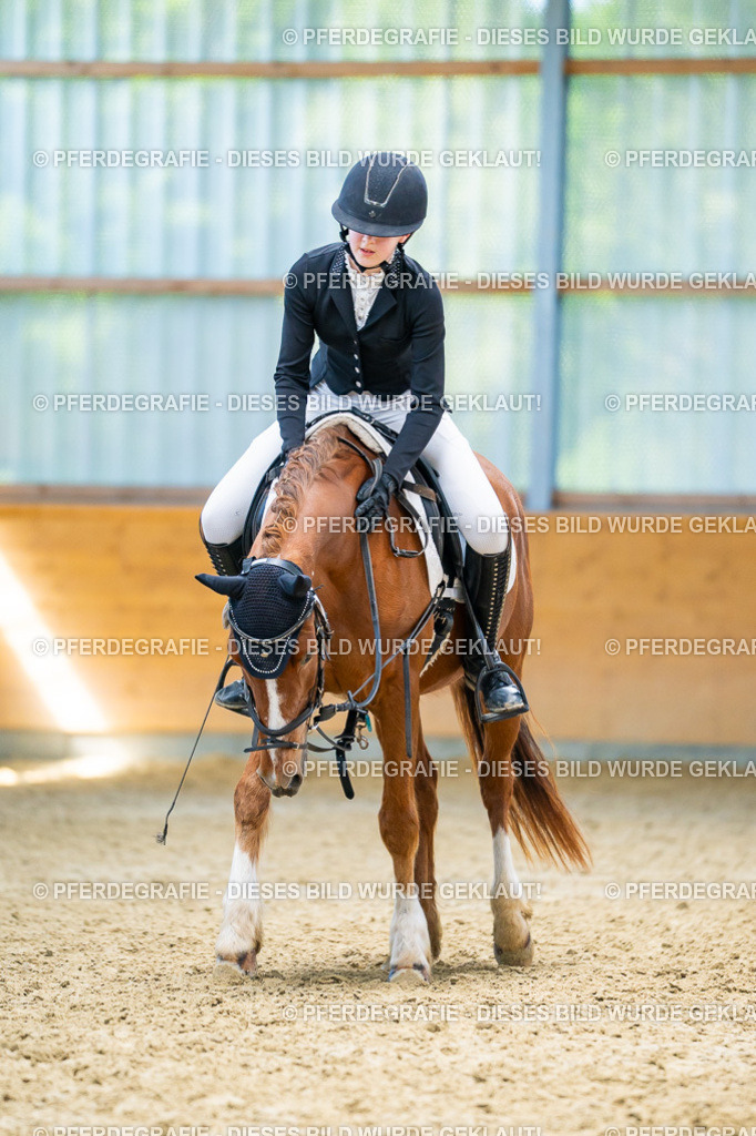 DSC08900 | Pferdegrafie