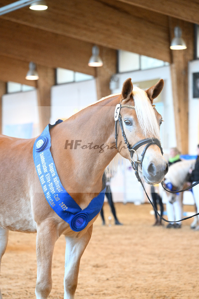 Kat-Nr. 5 Wayana v. Starkwind_Aigner_60221239 | hf-fotografie - Realizzato con Pictrs.com