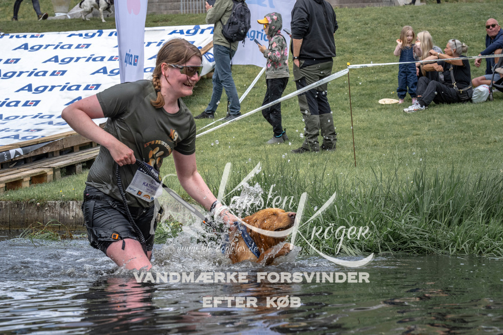 1144_ZZ93656 | kk-dogfotos