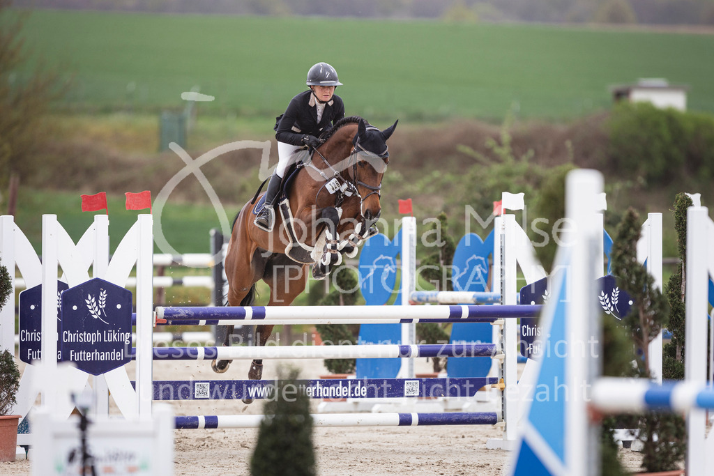 250417_Springpferde-L2-315 | Deine schönsten Turniermomente als professionelle Fotos! Entdecke hochwertige Pferdesport-Fotografie im Online-Shop. Jetzt Fotos finden & bestellen!