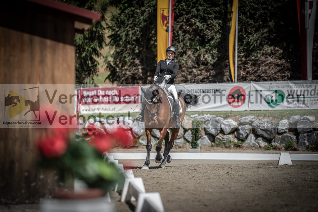 DSC_0462 | equestrian-live-com