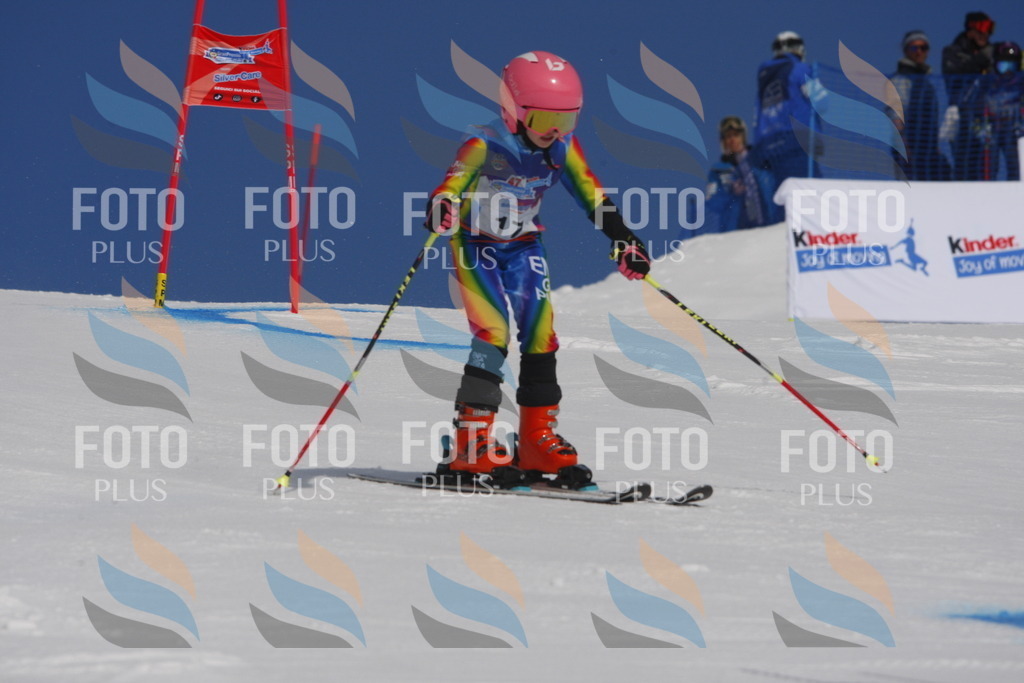 _W1G0193 | holidayphoto