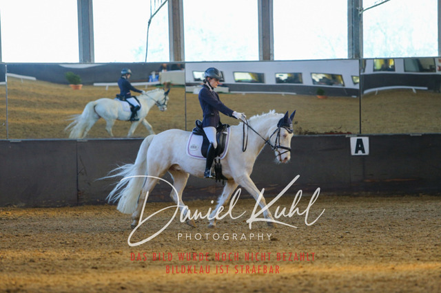 IMG_3252 | Turniersportfotografie; Pferdefotografie; Dressurfotografie
