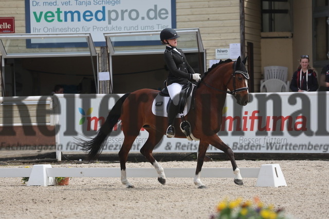 Birkhof_2024_Prfg.Nr.02_Dressurreiterprfg_Kl.A_Chiara Haug_Cosma 49 (1) | Alle Fotos der Reiterjournal Fotografin Doris Matthaes im Reiterjournal Online-Fotoshop. - Realizado com Pictrs.com